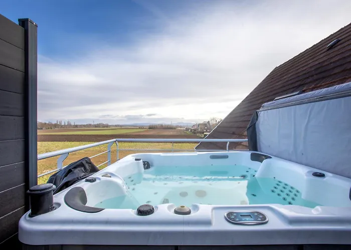 Esplanade Home Private Spa Jacuzzi Sauna Parking, Colmar